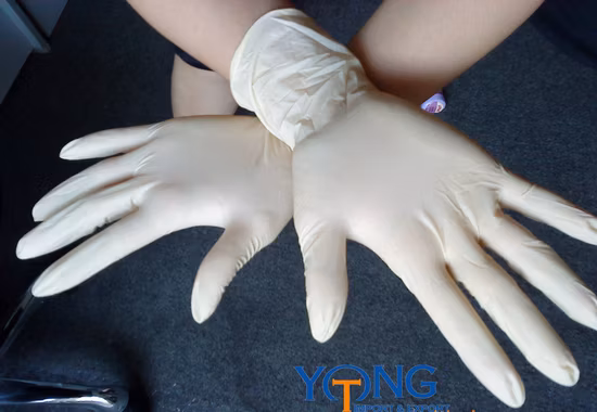 Malaysia Natural Rubber Disposable Examination Latex Gloves Free Samples