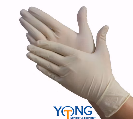 Malaysia Natural Rubber Disposable Examination Latex Gloves Free Samples